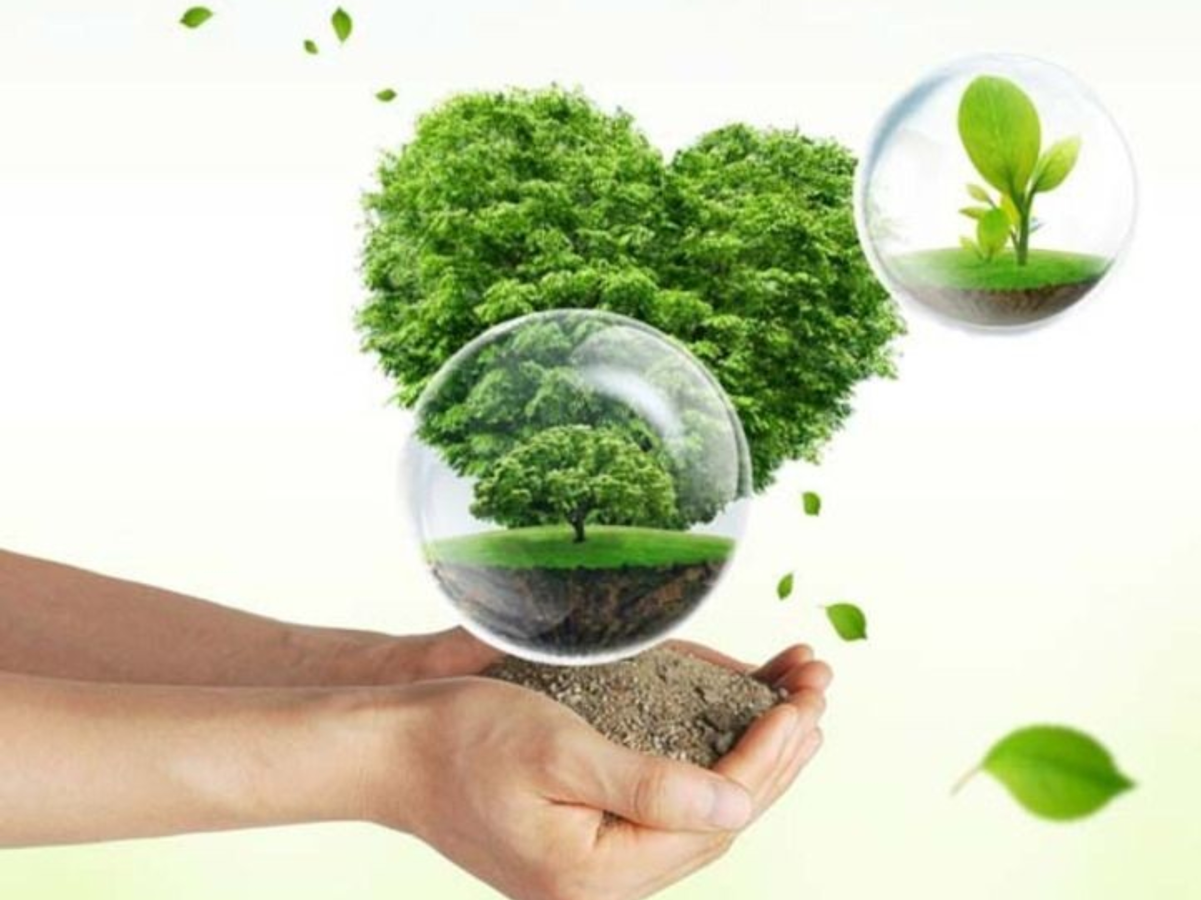 H813CA82FC4BF4AC59A2F1AEF1E637EB4H_副